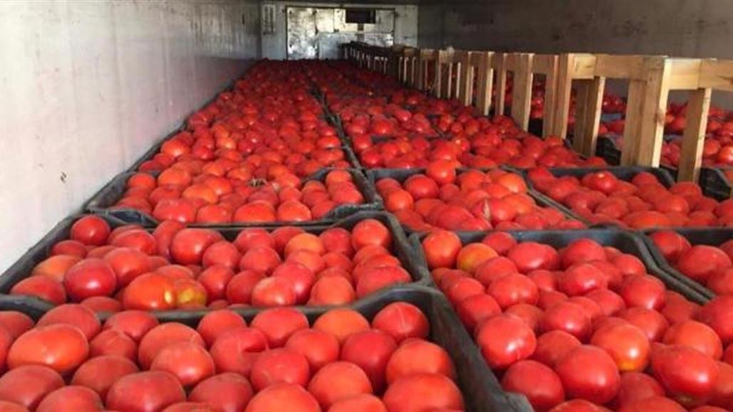 الزراعة تفتح استيراد البطاطا والطماطم والبصل.. وإيقاف رسوم البيض والدجاج واللحوم
